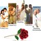 Gold Dipped Rose,24K Gold Rose with Transparent Stand,Real Long Stem Eternity Rose Flower Best for Her,Mom,Wife,Girlfriend,Anniversary,Mothers Day,Birthday,Valentine's,Wedding